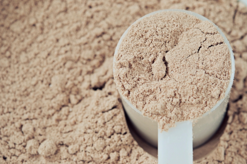 Protein guide