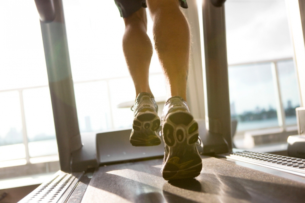 Fat burner guide