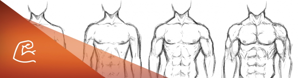 Bulking for Mesomorphs