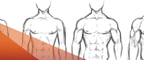 Bulking for Mesomorphs